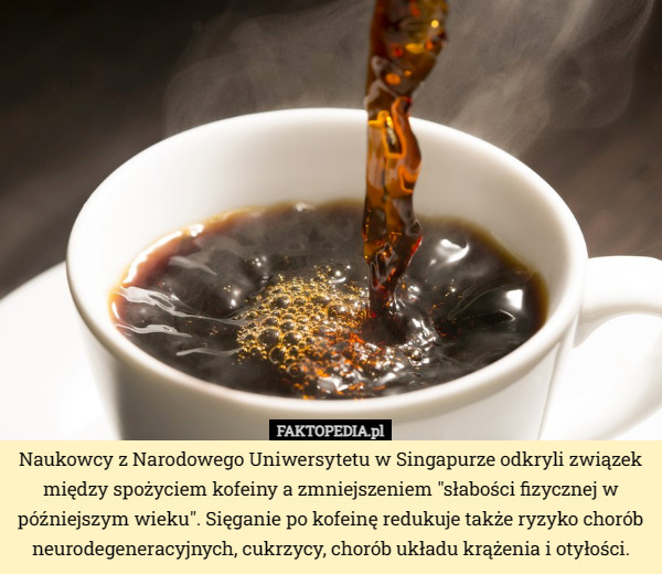 Naukowcy z Narodowego Uniwersytetu w Singapurze odkryli związek między spożyciem kofeiny a zmniejszeniem "słabości fizycznej w późniejszym wieku". Sięganie po kofeinę redukuje także ryzyko chorób neurodegeneracyjnych, cukrzycy, chorób układu krążenia i otyłości. 