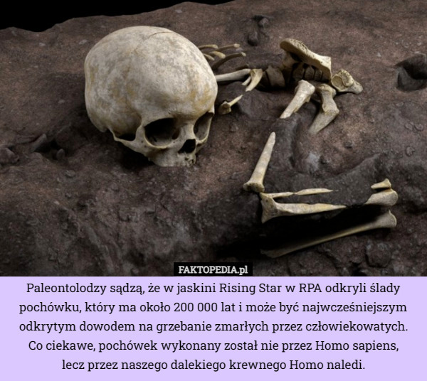 Paleontolodzy sądzą, że w jaskini Rising Star w RPA odkryli ślady pochówku, który ma około 200 000 lat i może być najwcześniejszym odkrytym dowodem na grzebanie zmarłych przez człowiekowatych.
 Co ciekawe, pochówek wykonany został nie przez Homo sapiens,
 lecz przez naszego dalekiego krewnego Homo naledi. 