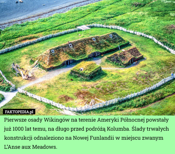 Pierwsze osady Wikingów na terenie Ameryki Północnej powstały już 1000 lat temu, na długo przed podróżą Kolumba. Ślady trwałych konstrukcji odnaleziono na Nowej Funlandii w miejscu zwanym L’Anse aux Meadows. 