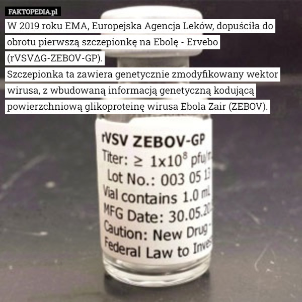 W 2019 roku EMA, Europejska Agencja Leków, dopuściła do obrotu pierwszą szczepionkę na Ebolę - Ervebo (rVSVΔG-ZEBOV-GP).
Szczepionka ta zawiera genetycznie zmodyfikowany wektor wirusa, z wbudowaną informacją genetyczną kodującą powierzchniową glikoproteinę wirusa Ebola Zair (ZEBOV). 