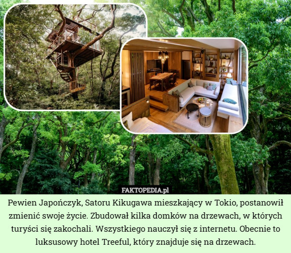 Pewien Japończyk, Satoru Kikugawa mieszkający w Tokio, postanowił zmienić swoje życie. Zbudował kilka domków na drzewach, w których turyści się zakochali. Wszystkiego nauczył się z internetu. Obecnie to luksusowy hotel Treeful, który znajduje się na drzewach. 