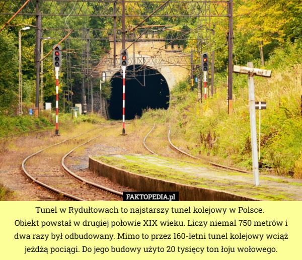 Tunel w Rydułtowach to najstarszy tunel kolejowy w Polsce. 
Obiekt powstał w drugiej połowie XIX wieku. Liczy niemal 750 metrów i dwa razy był odbudowany. Mimo to przez 160-letni tunel kolejowy wciąż jeżdżą pociągi. Do jego budowy użyto 20 tysięcy ton łoju wołowego. 