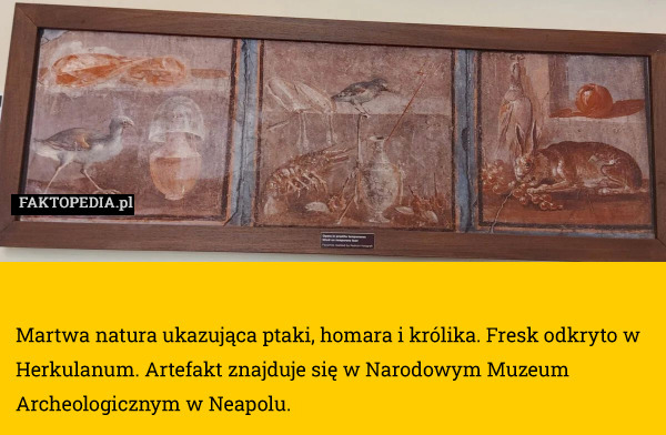 Martwa natura ukazująca ptaki, homara i królika. Fresk odkryto w Herkulanum. Artefakt znajduje się w Narodowym Muzeum Archeologicznym w Neapolu. 