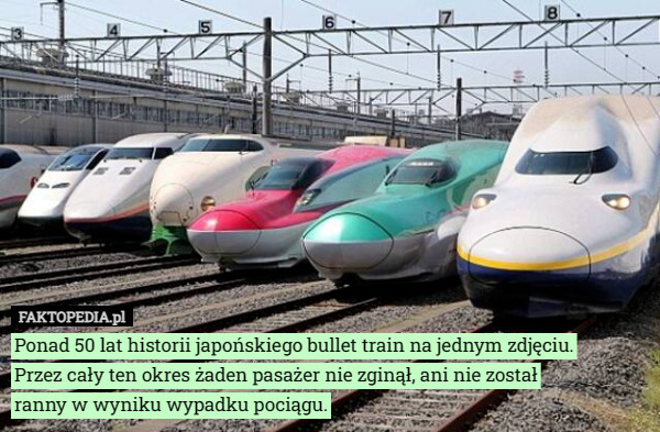 Ponad 50 lat historii japońskiego bullet train na jednym zdjęciu.
 Przez cały ten okres żaden pasażer nie zginął, ani nie został
 ranny w wyniku wypadku pociągu. 