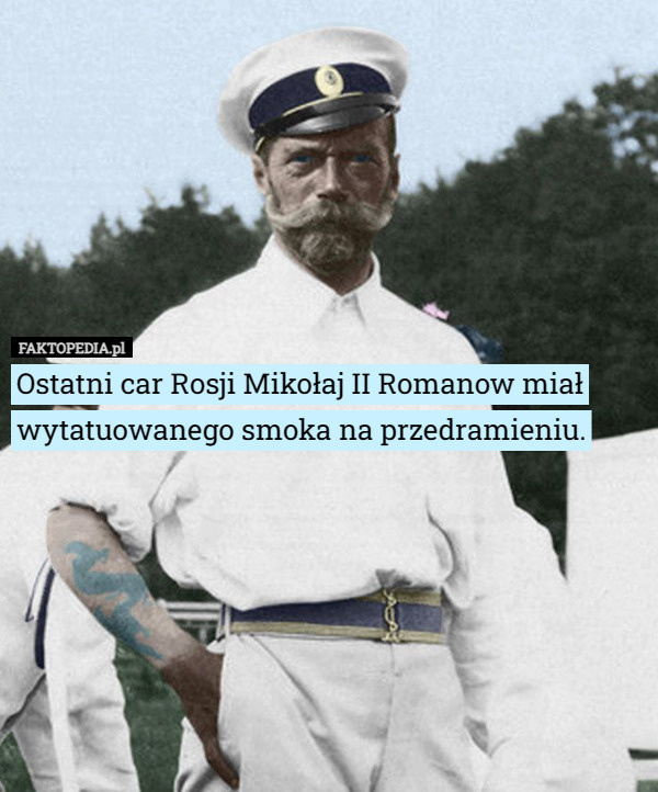 Ostatni car Rosji Mikołaj II Romanow miał wytatuowanego smoka na przedramieniu. 