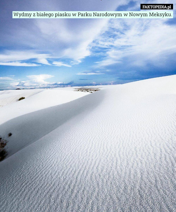 Wydmy z białego piasku w Parku Narodowym w Nowym Meksyku. 
