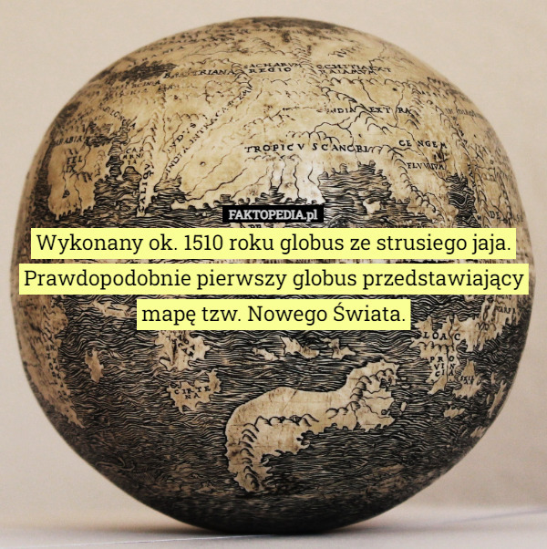 Wykonany ok. 1510 roku globus ze strusiego jaja. Prawdopodobnie pierwszy globus przedstawiający mapę tzw. Nowego Świata. 