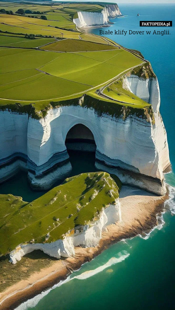 Białe klify Dover w Anglii. 