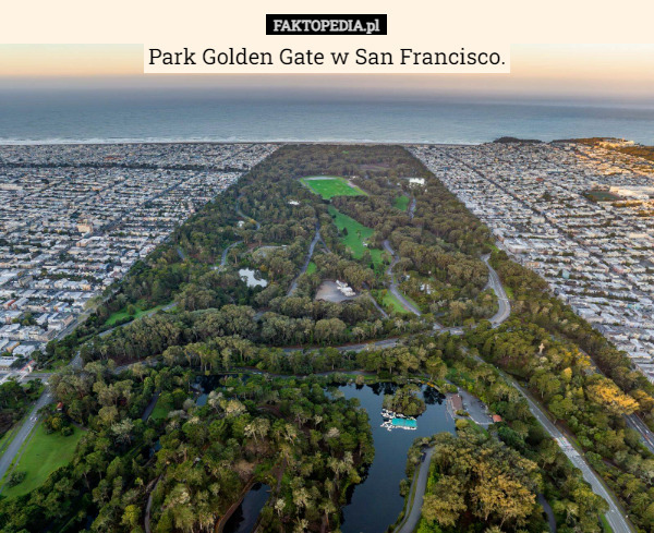 Park Golden Gate w San Francisco. 