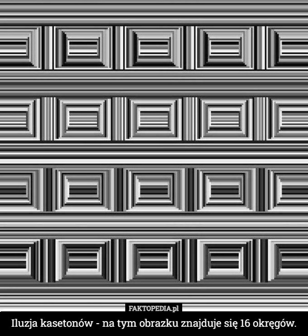Iluzja kasetonów - na tym obrazku znajduje się 16 okręgów. 