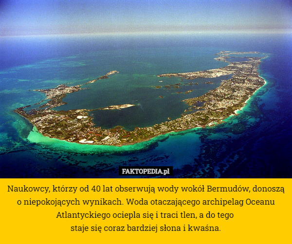 Naukowcy, którzy od 40 lat obserwują wody wokół Bermudów, donoszą o niepokojących wynikach. Woda otaczającego archipelag Oceanu Atlantyckiego ociepla się i traci tlen, a do tego 
staje się coraz bardziej słona i kwaśna. 