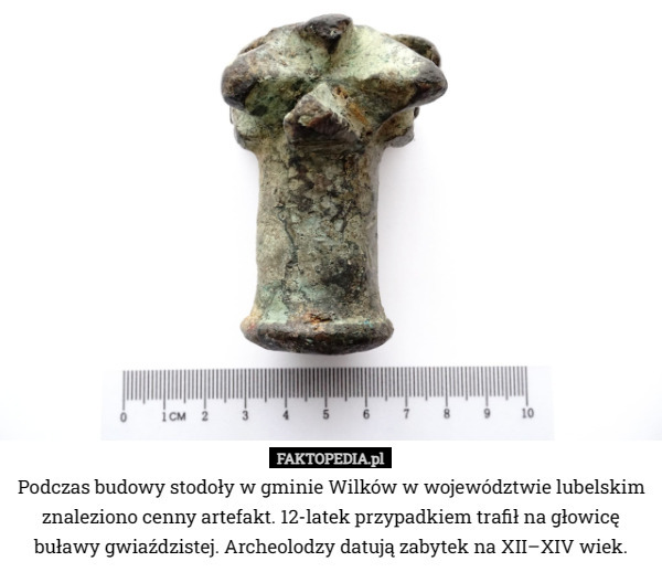 Podczas budowy stodoły w gminie Wilków w województwie lubelskim znaleziono cenny artefakt. 12-latek przypadkiem trafił na głowicę buławy gwiaździstej. Archeolodzy datują zabytek na XII–XIV wiek. 
