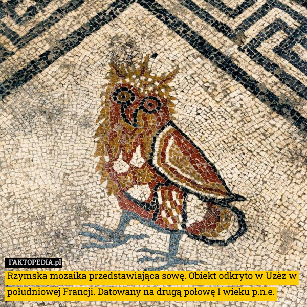 Rzymska mozaika przedstawiająca sowę. Obiekt odkryto w Uzèz w południowej Francji. Datowany na drugą połowę I wieku p.n.e. 