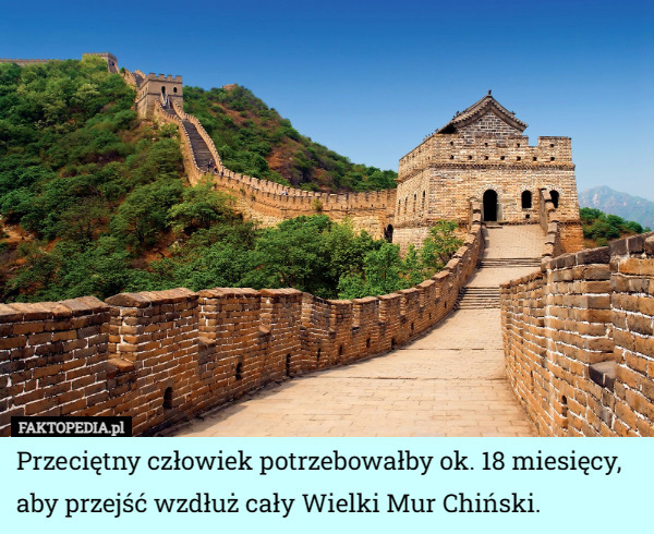 Przeciętny człowiek potrzebowałby ok. 18 miesięcy, aby przejść wzdłuż cały Wielki Mur Chiński. 