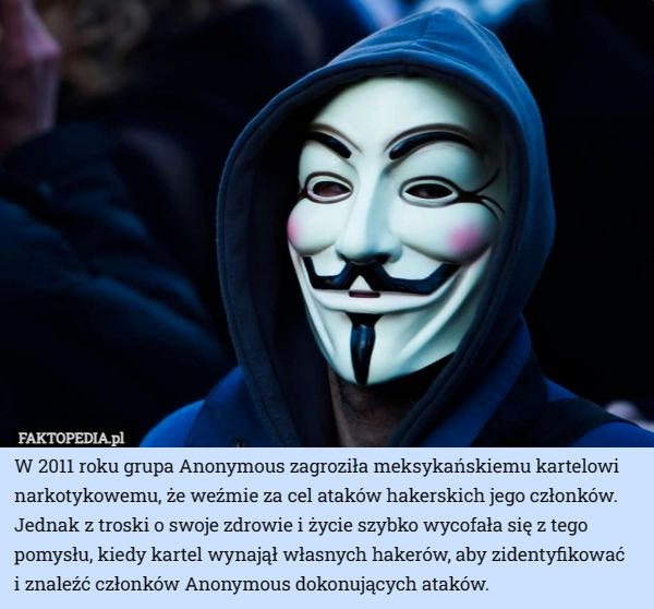 W 2011 roku grupa Anonymous zagroziła meksykańskiemu kartelowi narkotykowemu, że weźmie za cel ataków hakerskich jego członków. Jednak z troski o swoje zdrowie i życie szybko wycofała się z tego pomysłu, kiedy kartel wynajął własnych hakerów, aby zidentyfikować
 i znaleźć członków Anonymous dokonujących ataków. 