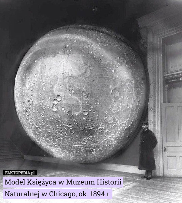 Model Księżyca w Muzeum Historii Naturalnej w Chicago, ok. 1894 r. 
