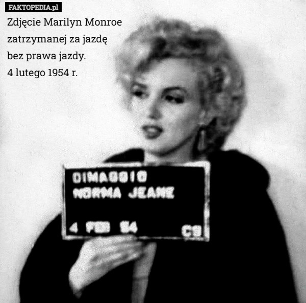 Zdjęcie Marilyn Monroe zatrzymanej za jazdę
 bez prawa jazdy.
 4 lutego 1954 r. 