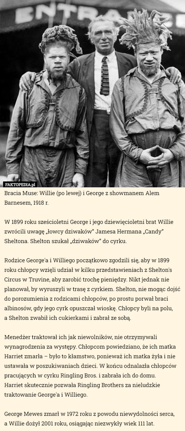 Bracia Muse: Willie (po lewej) i George z showmanem Alem Barnesem, 1918 r.

W 1899 roku sześcioletni George i jego dziewięcioletni brat Willie zwrócili uwagę „łowcy dziwaków” Jamesa Hermana „Candy” Sheltona. Shelton szukał „dziwaków” do cyrku.

Rodzice George'a i Williego początkowo zgodzili się, aby w 1899 roku chłopcy wzięli udział w kilku przedstawieniach z Shelton's Circus w Truvine, aby zarobić trochę pieniędzy. Nikt jednak nie planował, by wyruszyli w trasę z cyrkiem. Shelton, nie mogąc dojść do porozumienia z rodzicami chłopców, po prostu porwał braci albinosów, gdy jego cyrk opuszczał wioskę. Chłopcy byli na polu,
 a Shelton zwabił ich cukierkami i zabrał ze sobą.

Menedżer traktował ich jak niewolników, nie otrzymywali wynagrodzenia za występy. Chłopcom powiedziano, że ich matka Harriet zmarła – było to kłamstwo, ponieważ ich matka żyła i nie ustawała w poszukiwaniach dzieci. W końcu odnalazła chłopców pracujących w cyrku Ringling Bros. i zabrała ich do domu.
 Harriet skutecznie pozwała Ringling Brothers za nieludzkie traktowanie George'a i Williego.

George Mewes zmarł w 1972 roku z powodu niewydolności serca,
 a Willie dożył 2001 roku, osiągając niezwykły wiek 111 lat. 