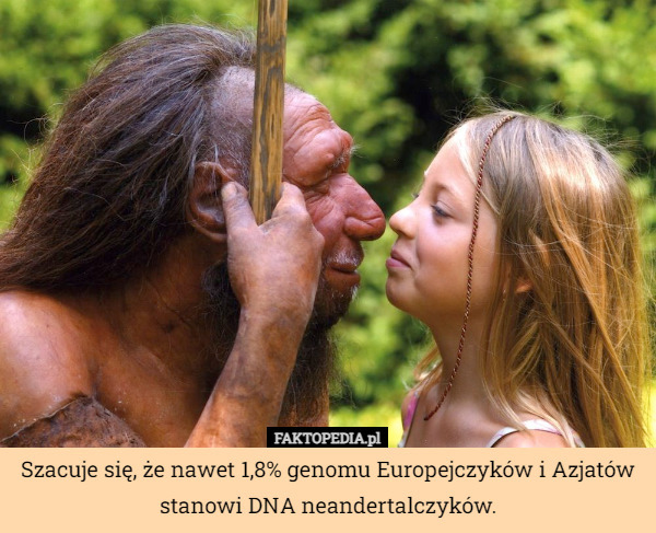 Szacuje się, że nawet 1,8% genomu Europejczyków i Azjatów stanowi DNA neandertalczyków. 