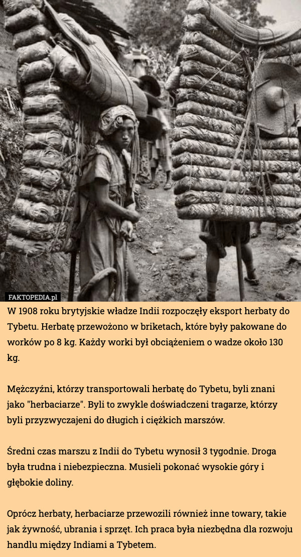 W 1908 roku brytyjskie władze Indii rozpoczęły eksport herbaty do Tybetu. Herbatę przewożono w briketach, które były pakowane do worków po 8 kg. Każdy worki był obciążeniem o wadze około 130 kg.

Mężczyźni, którzy transportowali herbatę do Tybetu, byli znani jako "herbaciarze". Byli to zwykle doświadczeni tragarze, którzy byli przyzwyczajeni do długich i ciężkich marszów.

Średni czas marszu z Indii do Tybetu wynosił 3 tygodnie. Droga była trudna i niebezpieczna. Musieli pokonać wysokie góry i głębokie doliny.

Oprócz herbaty, herbaciarze przewozili również inne towary, takie jak żywność, ubrania i sprzęt. Ich praca była niezbędna dla rozwoju handlu między Indiami a Tybetem. 