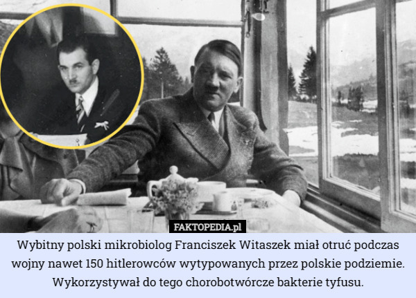 Wybitny polski mikrobiolog Franciszek Witaszek miał otruć podczas wojny nawet 150 hitlerowców wytypowanych przez polskie podziemie. Wykorzystywał do tego chorobotwórcze bakterie tyfusu. 