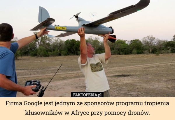 Firma Google jest jednym ze sponsorów programu tropienia kłusowników w Afryce przy pomocy dronów. 