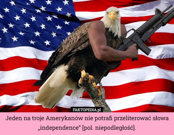 Jeden na troje Amerykanów nie potrafi przeliterować słowa „independence” [pol. niepodległość]. 