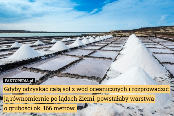 Gdyby odzyskać całą sól z wód oceanicznych i rozprowadzić ją równomiernie po lądach Ziemi, powstałaby warstwa
 o grubości ok. 166 metrów. 