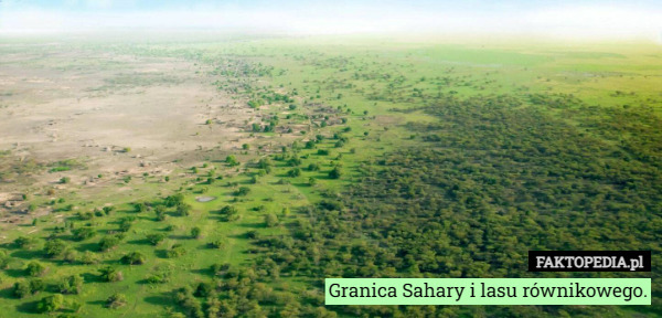 Granica Sahary i lasu równikowego. 