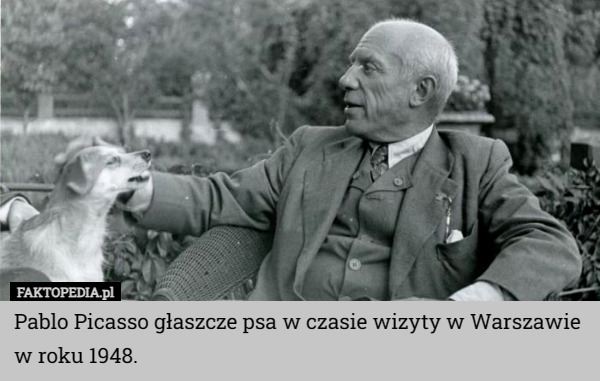 Pablo Picasso głaszcze psa w czasie wizyty w Warszawie w roku 1948. 