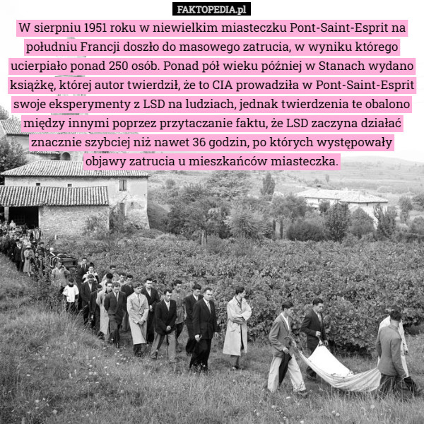 W sierpniu 1951 roku w niewielkim miasteczku Pont-Saint-Esprit na południu Francji doszło do masowego zatrucia, w wyniku którego ucierpiało ponad 250 osób. Ponad pół wieku później w Stanach wydano książkę, której autor twierdził, że to CIA prowadziła w Pont-Saint-Esprit swoje eksperymenty z LSD na ludziach, jednak twierdzenia te obalono między innymi poprzez przytaczanie faktu, że LSD zaczyna działać znacznie szybciej niż nawet 36 godzin, po których występowały
 objawy zatrucia u mieszkańców miasteczka. 