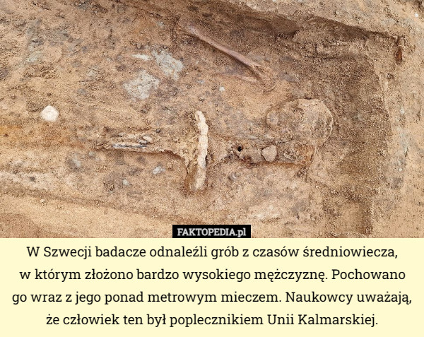 W Szwecji badacze odnaleźli grób z czasów średniowiecza,
 w którym złożono bardzo wysokiego mężczyznę. Pochowano go wraz z jego ponad metrowym mieczem. Naukowcy uważają, że człowiek ten był poplecznikiem Unii Kalmarskiej. 