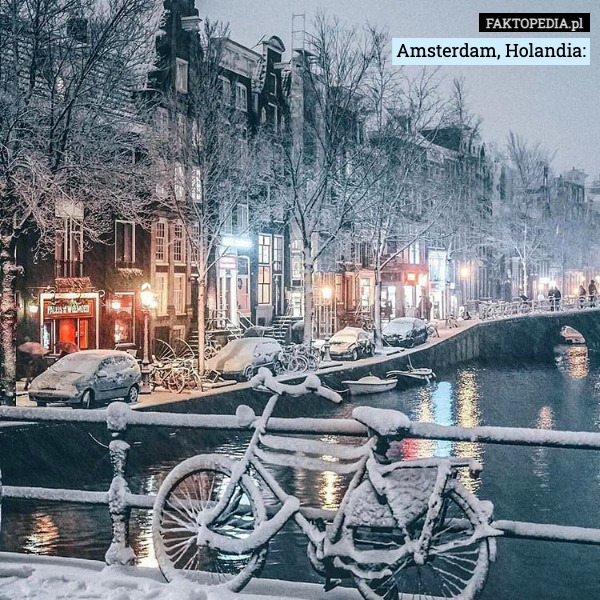 Amsterdam, Holandia: 