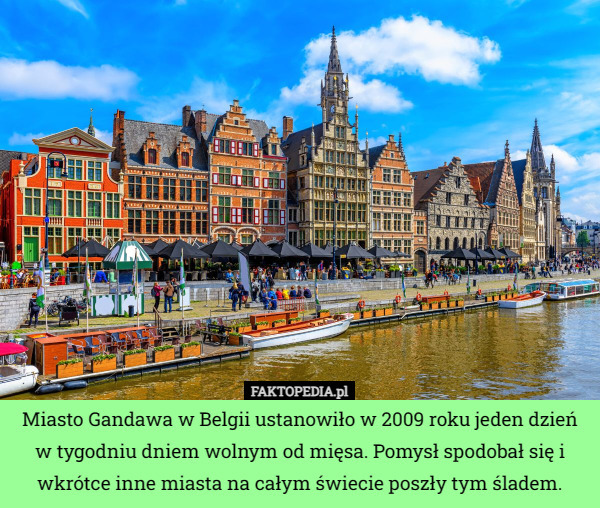 Miasto Gandawa w Belgii ustanowiło w 2009 roku jeden dzień w tygodniu dniem wolnym od mięsa. Pomysł spodobał się i wkrótce inne miasta na całym świecie poszły tym śladem. 