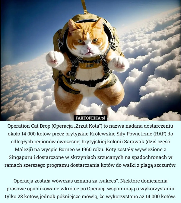 Operation Cat Drop (Operacja „Zrzut Kota”) to nazwa nadana dostarczeniu około 14 000 kotów przez brytyjskie Królewskie Siły Powietrzne (RAF) do odległych regionów ówczesnej brytyjskiej kolonii Sarawak (dziś część Malezji) na wyspie Borneo w 1960 roku. Koty zostały wywiezione z Singapuru i dostarczone w skrzyniach zrzucanych na spadochronach w ramach szerszego programu dostarczania kotów do walki z plagą szczurów.

 Operacja została wówczas uznana za „sukces”. Niektóre doniesienia prasowe opublikowane wkrótce po Operacji wspominają o wykorzystaniu tylko 23 kotów, jednak późniejsze mówią, że wykorzystano aż 14 000 kotów. 