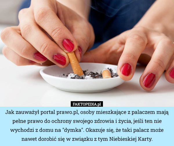 Jak zauważył portal prawo.pl, osoby mieszkające z palaczem mają pełne prawo do ochrony swojego zdrowia i życia, jeśli ten nie wychodzi z domu na "dymka". Okazuje się, że taki palacz może nawet dorobić się w związku z tym Niebieskiej Karty. 
