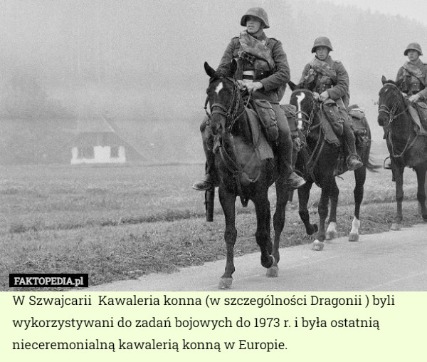W Szwajcarii  Kawaleria konna (w szczególności Dragonii ) byli wykorzystywani do zadań bojowych do 1973 r. i była ostatnią nieceremonialną kawalerią konną w Europie. 