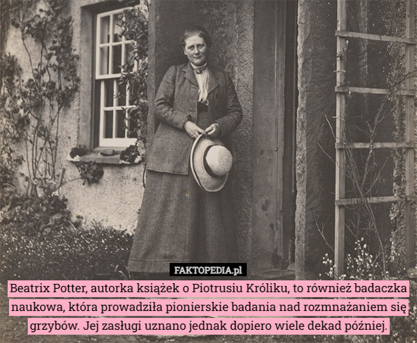 Beatrix Potter, autorka książek o Piotrusiu Króliku, to również badaczka naukowa, która prowadziła pionierskie badania nad rozmnażaniem się grzybów. Jej zasługi uznano jednak dopiero wiele dekad później. 