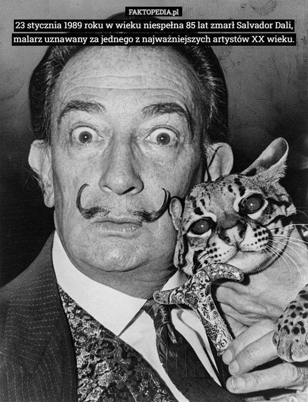 23 stycznia 1989 roku w wieku niespełna 85 lat zmarł Salvador Dali, malarz uznawany za jednego z najważniejszych artystów XX wieku. 