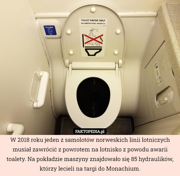 W 2018 roku jeden z samolotów norweskich linii lotniczych musiał zawrócić z powrotem na lotnisko z powodu awarii toalety. Na pokładzie maszyny znajdowało się 85 hydraulików, którzy lecieli na targi do Monachium. 
