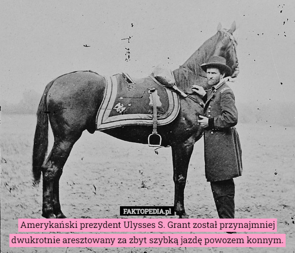Amerykański prezydent Ulysses S. Grant został przynajmniej dwukrotnie aresztowany za zbyt szybką jazdę powozem konnym. 