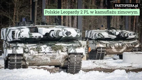 Polskie Leopardy 2 PL w kamuflażu zimowym. 