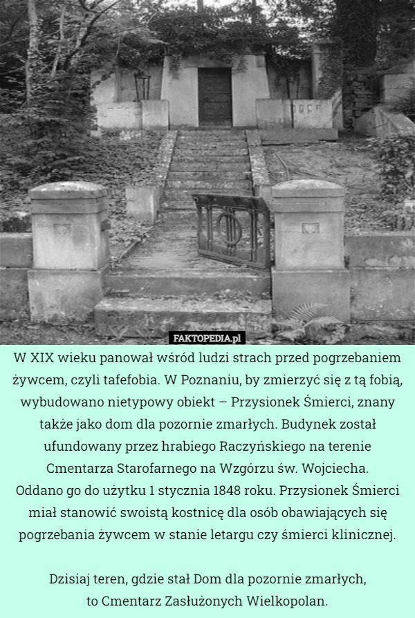 W XIX wieku panował wśród ludzi strach przed pogrzebaniem żywcem, czyli tafefobia. W Poznaniu, by zmierzyć się z tą fobią, wybudowano nietypowy obiekt – Przysionek Śmierci, znany także jako dom dla pozornie zmarłych. Budynek został ufundowany przez hrabiego Raczyńskiego na terenie Cmentarza Starofarnego na Wzgórzu św. Wojciecha.
 Oddano go do użytku 1 stycznia 1848 roku. Przysionek Śmierci miał stanowić swoistą kostnicę dla osób obawiających się pogrzebania żywcem w stanie letargu czy śmierci klinicznej.

Dzisiaj teren, gdzie stał Dom dla pozornie zmarłych,
 to Cmentarz Zasłużonych Wielkopolan. 