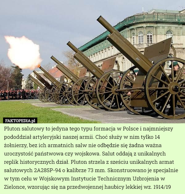 Pluton salutowy to jedyna tego typu formacja w Polsce i najmniejszy pododdział artyleryjski naszej armii. Choć służy w nim tylko 14 żołnierzy, bez ich armatnich salw nie odbędzie się żadna ważna uroczystość państwowa czy wojskowa. Salut oddają z unikalnych replik historycznych dział. Pluton strzela z sześciu unikalnych armat salutowych 2A28SP-94 o kalibrze 73 mm. Skonstruowano je specjalnie w tym celu w Wojskowym Instytucie Technicznym Uzbrojenia w Zielonce, wzorując się na przedwojennej haubicy lekkiej wz. 1914/19 