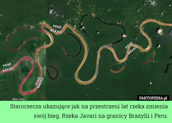 Starorzecza ukazujące jak na przestrzeni lat rzeka zmienia swój bieg. Rzeka Javari na granicy Brazylii i Peru. 