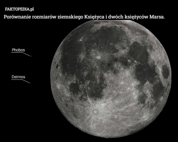Porównanie rozmiarów ziemskiego Księżyca i dwóch księżyców Marsa. 
