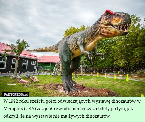 W 1992 roku sześciu gości odwiedzających wystawę dinozaurów w Memphis (USA) zażądało zwrotu pieniędzy za bilety po tym, jak odkryli, że na wystawie nie ma żywych dinozaurów. 