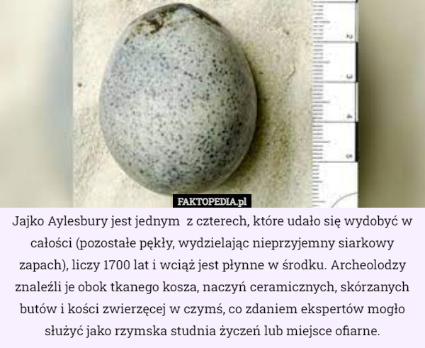 Jajko Aylesbury jest jednym  z czterech, które udało się wydobyć w całości (pozostałe pękły, wydzielając nieprzyjemny siarkowy zapach), liczy 1700 lat i wciąż jest płynne w środku. Archeolodzy znaleźli je obok tkanego kosza, naczyń ceramicznych, skórzanych butów i kości zwierzęcej w czymś, co zdaniem ekspertów mogło służyć jako rzymska studnia życzeń lub miejsce ofiarne. 