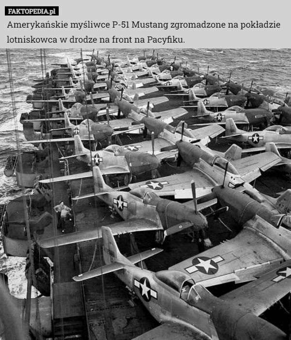 Amerykańskie myśliwce P-51 Mustang zgromadzone na pokładzie lotniskowca w drodze na front na Pacyfiku. 