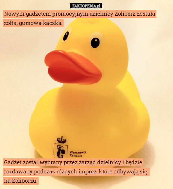 Nowym gadżetem promocyjnym dzielnicy Żoliborz została żółta, gumowa kaczka. Gadżet został wybrany przez zarząd dzielnicy i będzie rozdawany podczas różnych imprez, które odbywają się 
na Żoliborzu. 